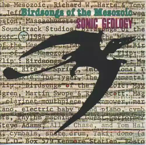 Cover Birdsongs of the Mesozoic - Sonic Geology