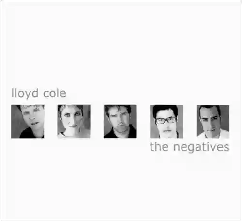 Cover di The Negatives