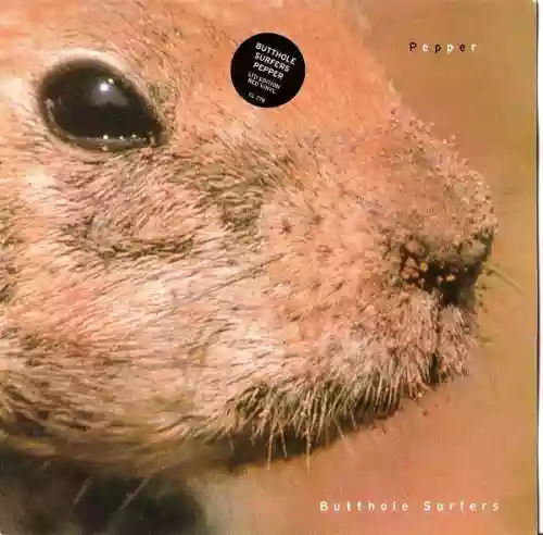 Cover Butthole Surfers - Pepper