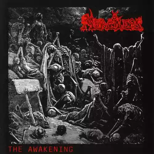 Cover Merciless - The Awakening