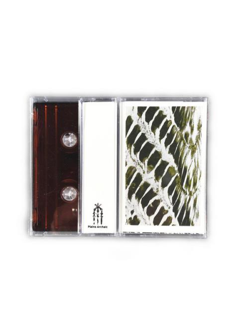 Cover di Ampullae of Lorenzini