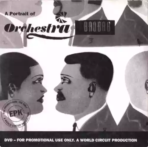 Cover Orchestra Baobab - A Portrait Of Orchestra Baobab