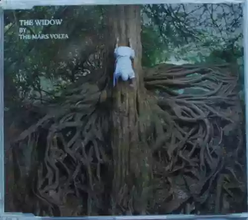 Cover di The Widow