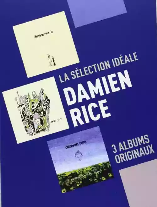 Cover Damien Rice - La Sélection Idéale