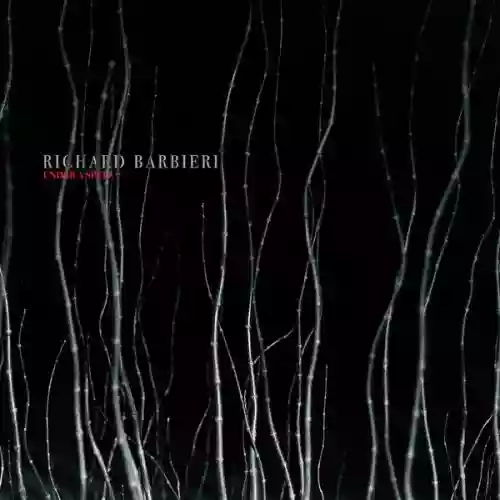 Cover Richard Barbieri - Under A Spell