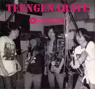 Teengenerate: Audio Recording