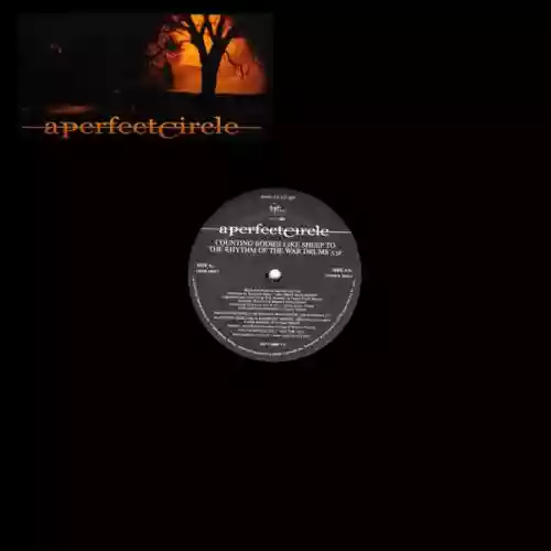 Cover A Perfect Circle - Counting Bodies Like Sheep to the Rhythm of the War Drums