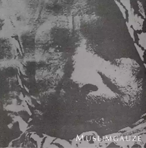 Cover Muslimgauze - Chapter of Purity
