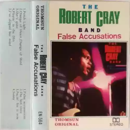 Cover di False Accusation