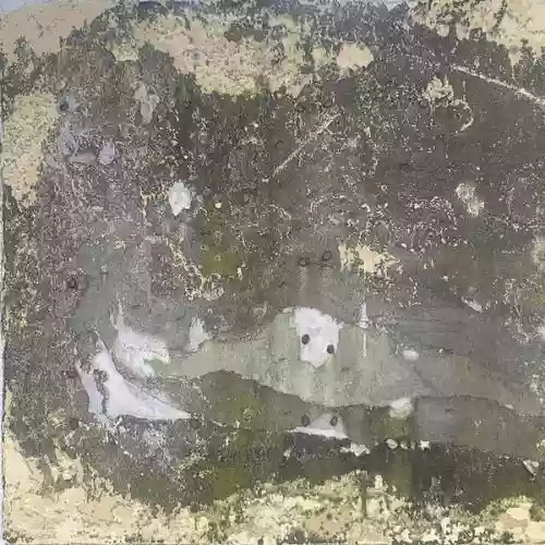 Cover The Telescopes - Experimental Health