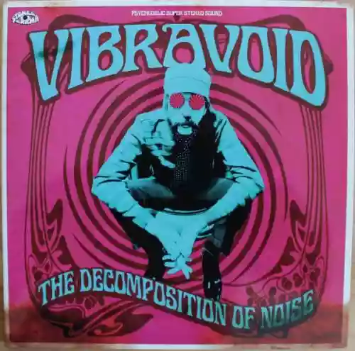 Cover Vibravoid - The Decomposition Of Noise