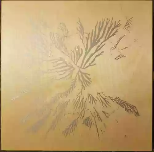 Cover :zoviet*france: - Châsse 2ᵉ