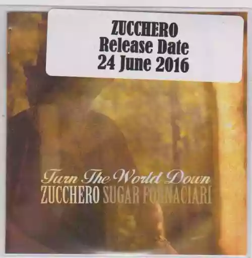 Cover Zucchero - Turn The World Down