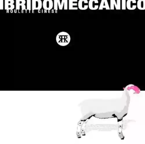 Cover Roulette Cinese - Ibridomeccanico