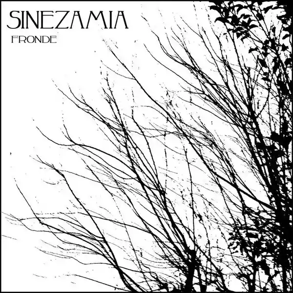 Sinezamia: Fronde