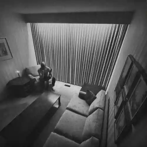 Cover Timber Timbre - Lovage