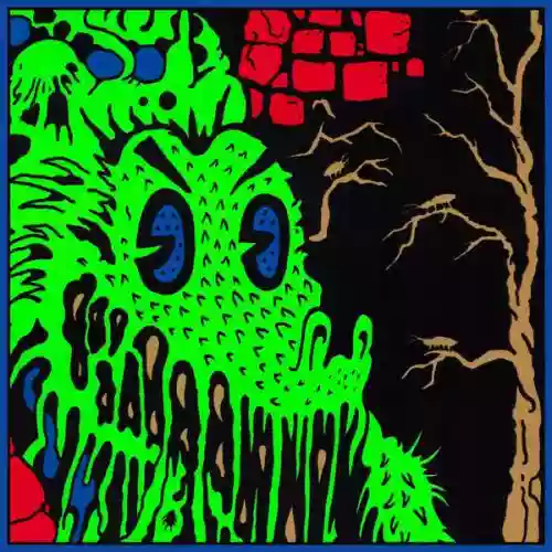 Cover King Gizzard & The Lizard Wizard - Live In Asheville '19