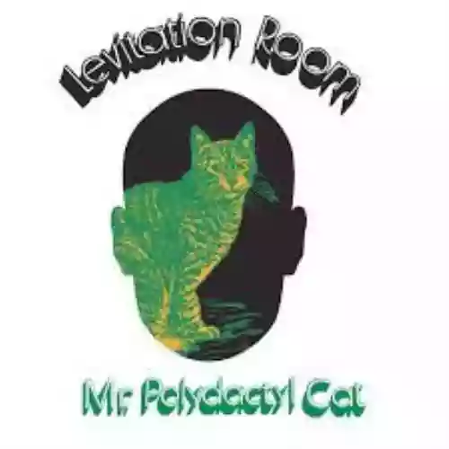 Cover Levitation Room - Mr. Polydactyl Cat