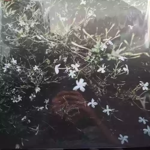 Cover di Pezzi Della Sera