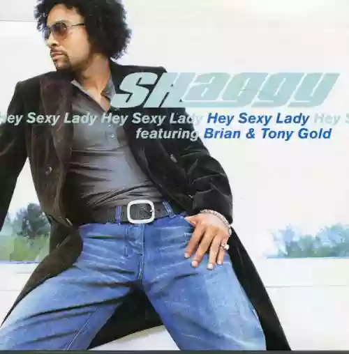 Cover Shaggy - Hey Sexy Lady (feat. Brian & Tony Gold)