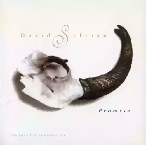 Cover David Sylvian - Promise (The Rare Tracks Collection)