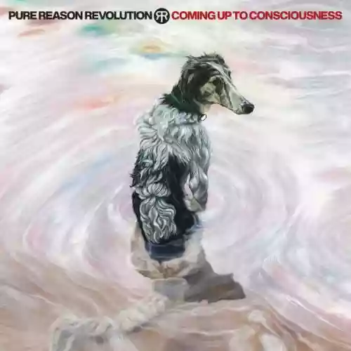 Cover di Coming Up To Consciousness