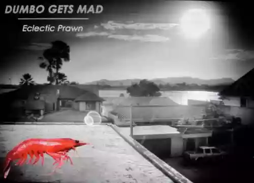 Cover Dumbo Gets Mad - Eclectic Prawn