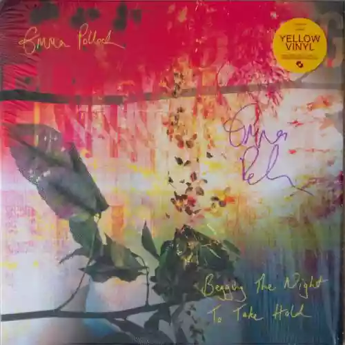 Cover Emma Pollock - Begging The Night To Take Hold