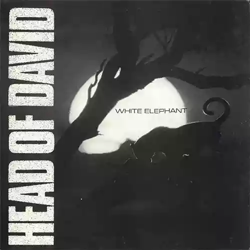 Cover Head of David - White Elephant
