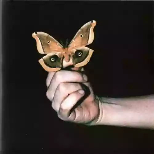 Cover di All Systems Are Lying