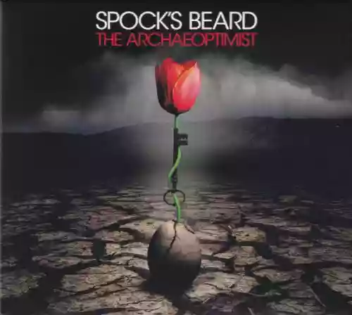 Cover di The Archaeoptimist