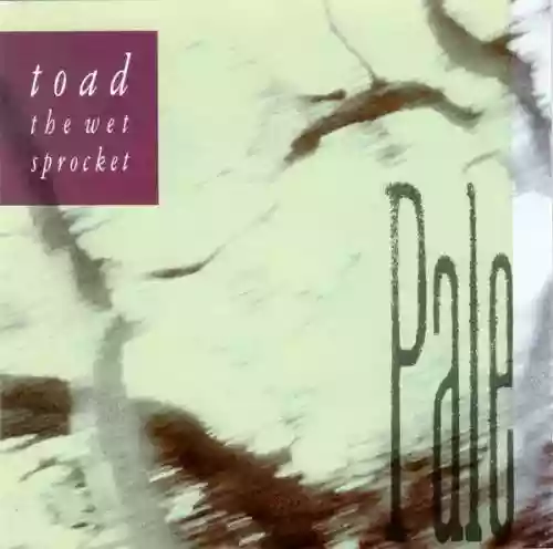 Cover di Pale
