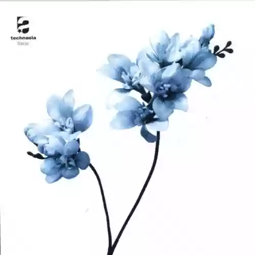 Cover di Force