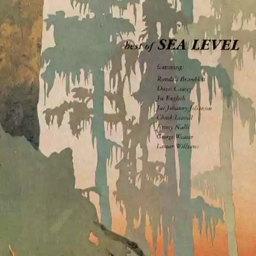 Cover Sea Level - Best of Sea Level