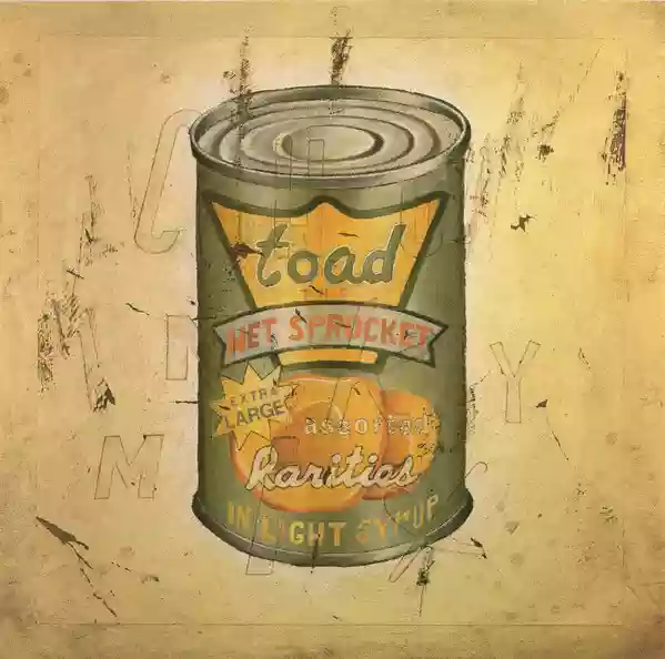 toad the wet sprocket: in light syrup