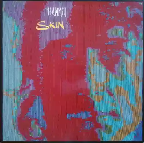 Cover di Skin