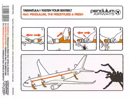 Cover Pendulum - Tarantula / Fasten Your Seatbelt