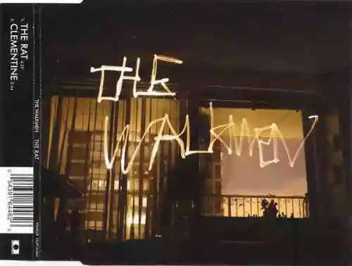 Cover The Walkmen - The Rat