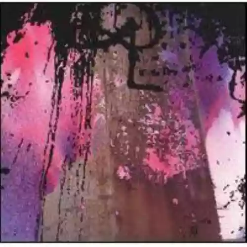 Cover Double Leopards - A Hole Is True