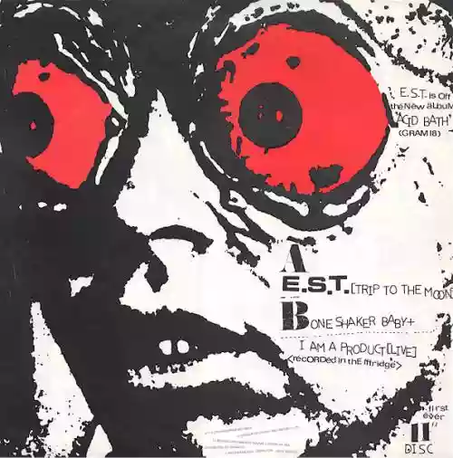 Cover Alien Sex Fiend - E.S.T. (Trip to the Moon)