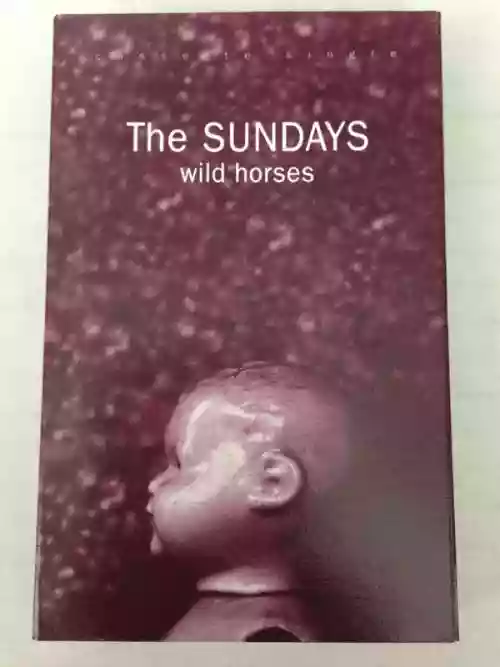 Cover The Sundays - Wild Horses
