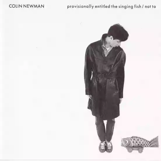 Colin Newman: Provisionally Entitled the Singing Fish / Not To