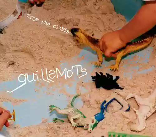 Cover di From the Cliffs