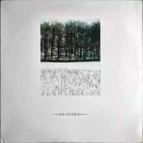 Cover di Atmosphere / She's Lost Control