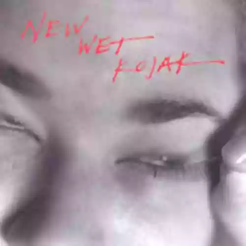 Cover di New Wet Kojak