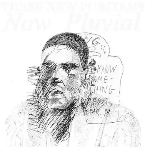 Cover These New Puritans - Now Pluvial