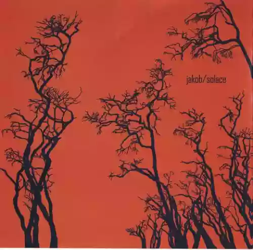 Cover Jakob - Solace