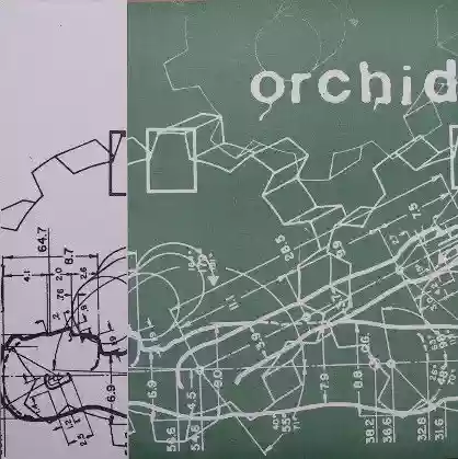 Orchid: Orchid