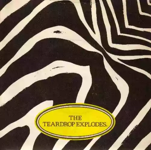 Cover The Teardrop Explodes - Reward