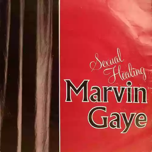 Cover Marvin Gaye - (Sexual) Healing